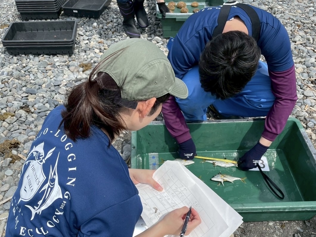フィールドでの作業風景